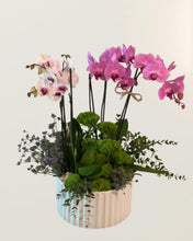 Cargar imagen en el visor de la galería, Bella Mujer