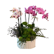 Cargar imagen en el visor de la galería, Bella Mujer